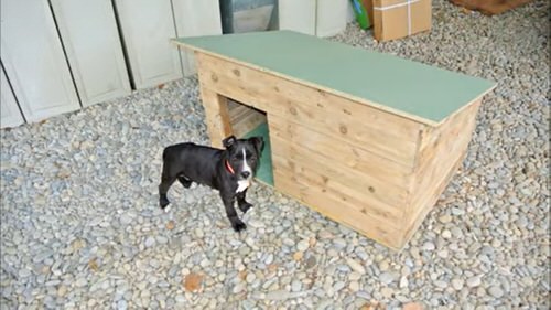 Crazy Things You Can Make with Pallets in Your Home 104