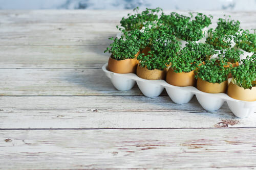 Easy Planting Hacks 2