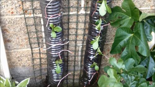 DIY Bottle Tower Garden Ideas 15