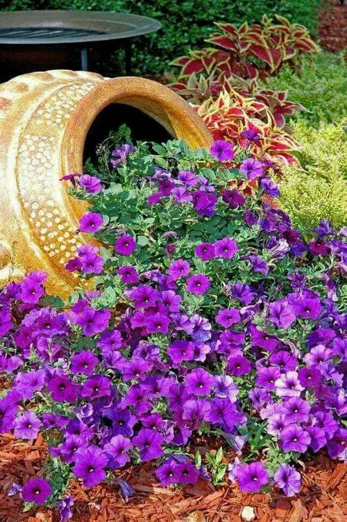 Pot on Side with Flowers and Variegated Plants
