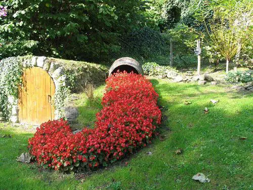 Tipped Over Pot with Red Flowers
