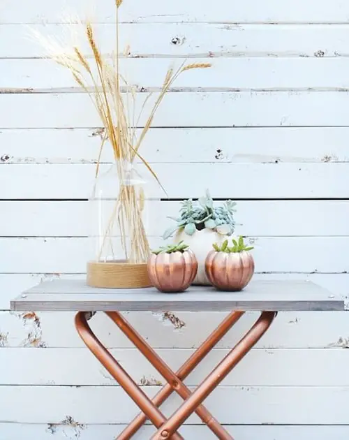 Plants in Fruit Planters