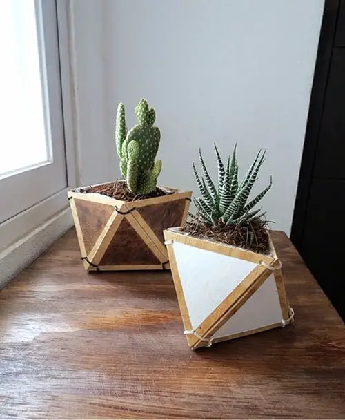 Trendy Geometric Planters