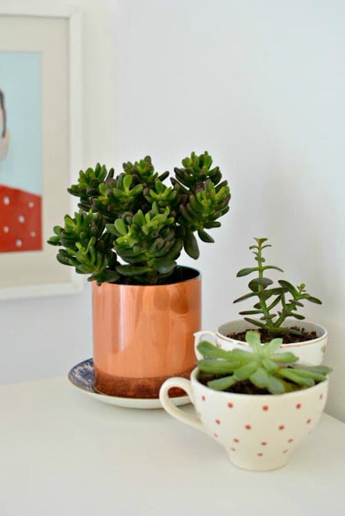 Elegant Copper Pots
