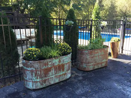 Rusted Metal Planters