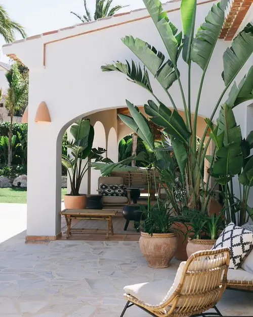 DIY Patio Garden Ideas Touch of Tropics