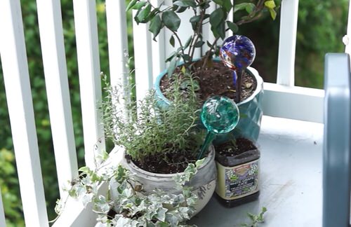 Easy Watering Globes for Houseplants