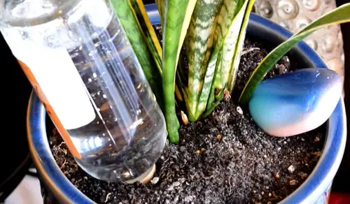 Watering Globe Sphere