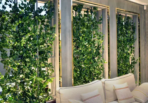 Green Plants As a Curtain 6