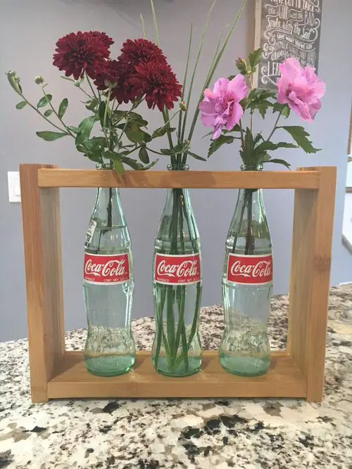 Coke Bottle Flower Vase