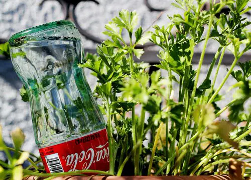Coke Bottle Watering Globe