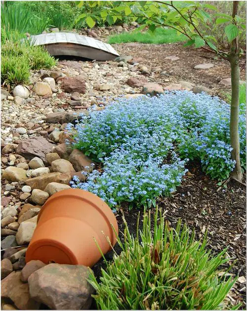 Landscaping with Spilled Blue Flowers
