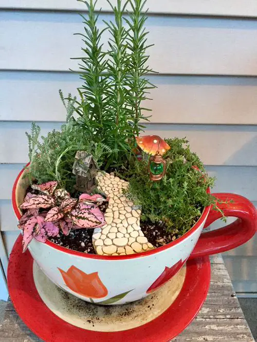 Creative Teacup Planters 28