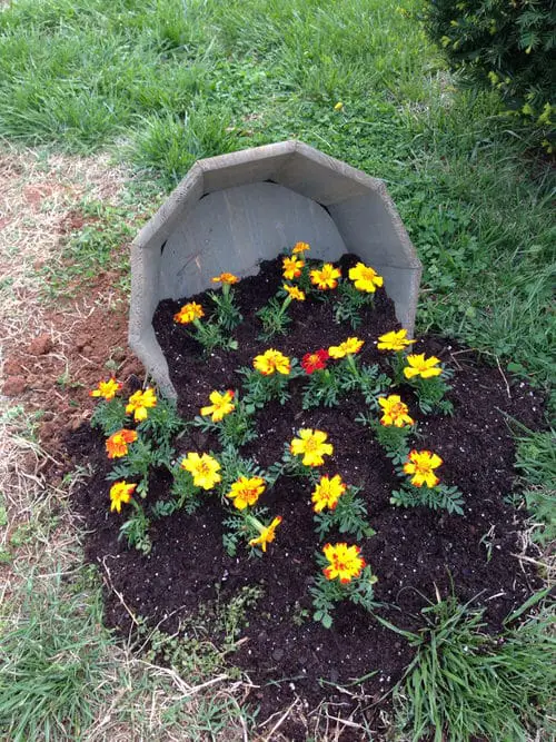 Cement Planter with Spilled Yellow Flowers