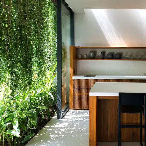 Green Plants As a Curtain 7