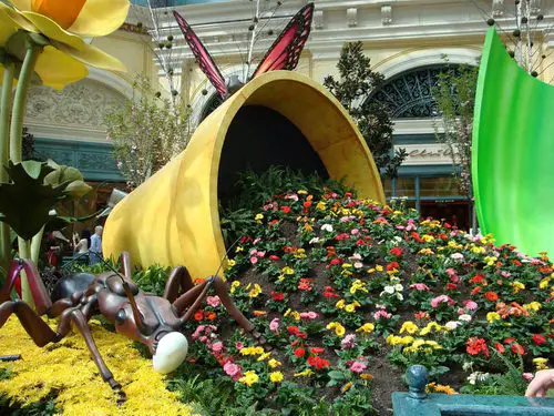 Flowers Spilling Out from a Large Pot