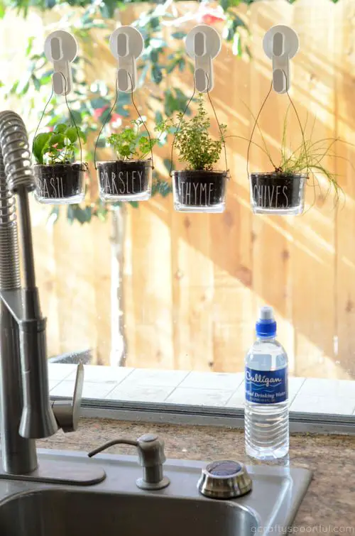 Easy Indoor Hanging Herb Garden