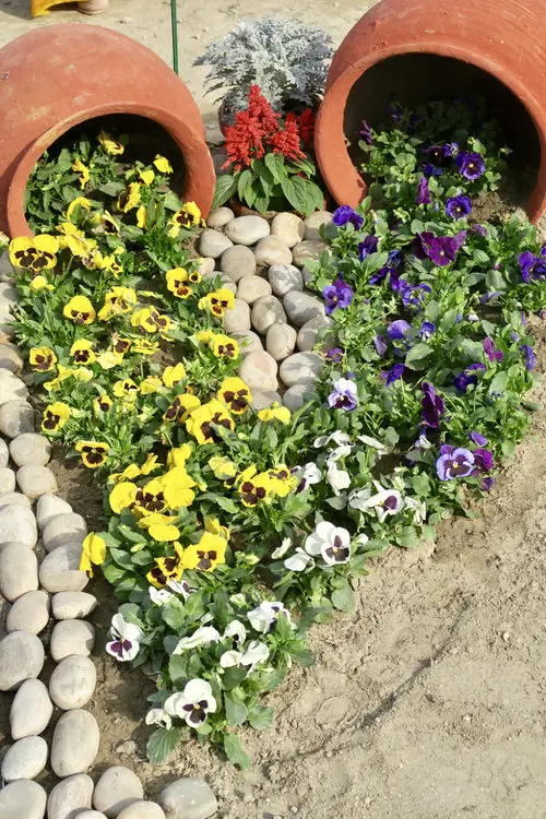 Amazing Outside Plants That Are Dog-Friendly