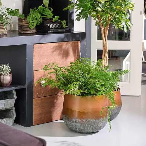 Grow in Metallic Planters