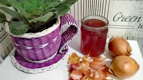 Make Onion Skin Fertilizer