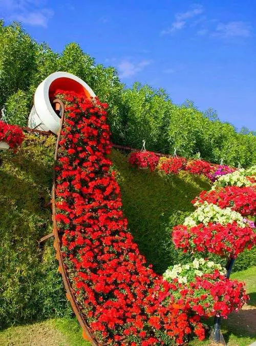 Overflowing Flower Pot