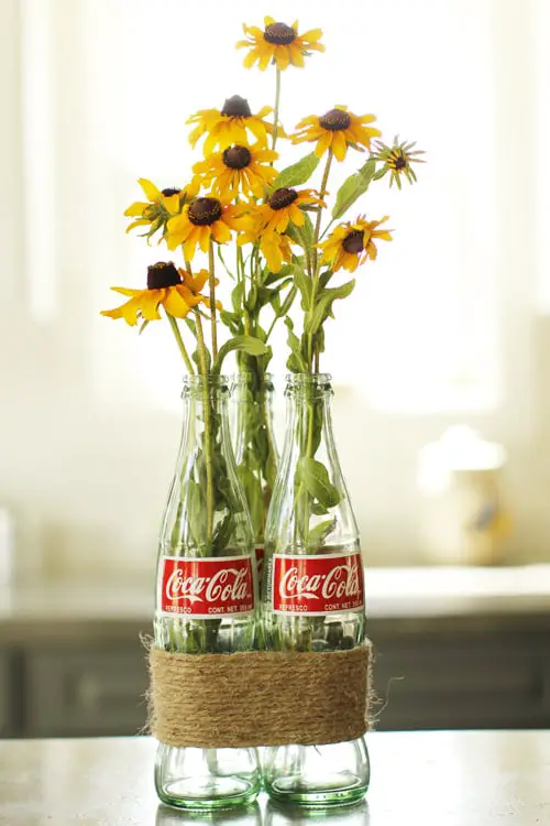 Coke Bottle Vase