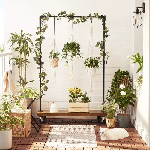 Trailing Plants with Pots on a Tall Clothes Rack