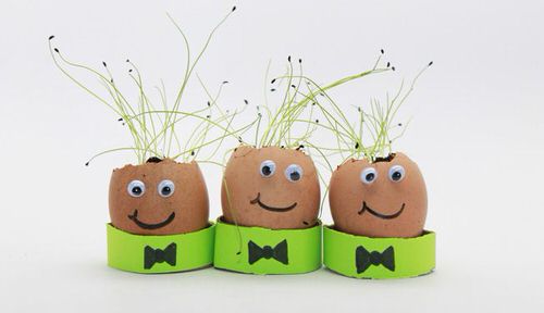 Cute Eggshell Planters