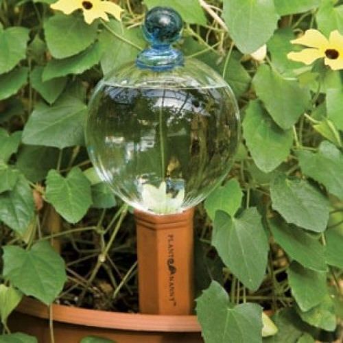 Beautiful Glass Watering Globes