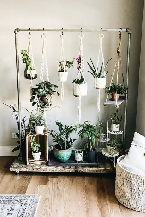 Mini Macrame Plant Hangers on Clothing Rack