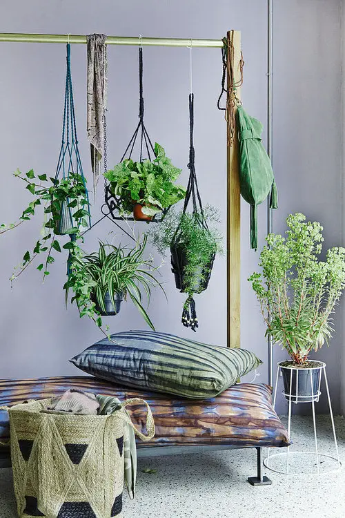 Dark Colored Macrame Plant Hangers on Cloth Rack