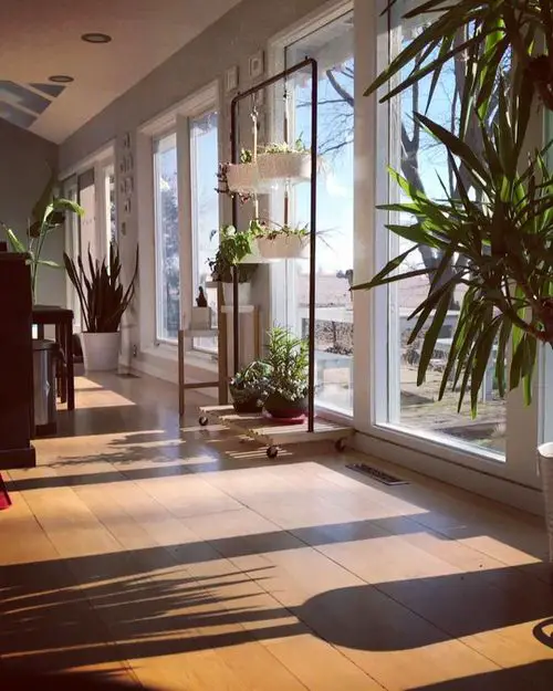 Movable Cloth Rack with Plants