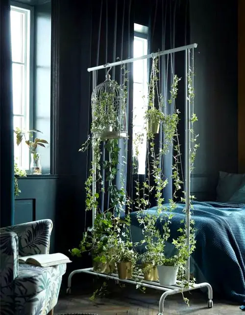 Trailing Vines on Metal Clothing Rack