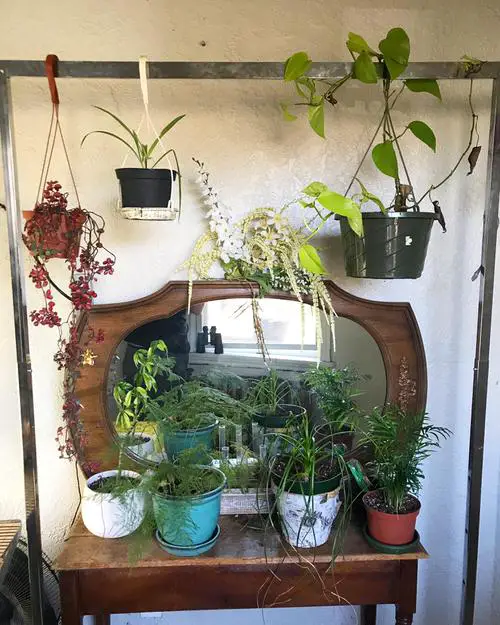 Stainless-Steel Clothing Rack with Hanging Plants