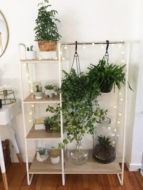 Mini Bulbs on Clothing Rack with Planters