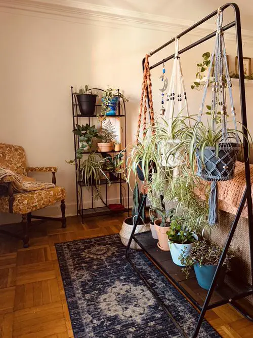 Macramé Plant Hangers on Clothing Rack