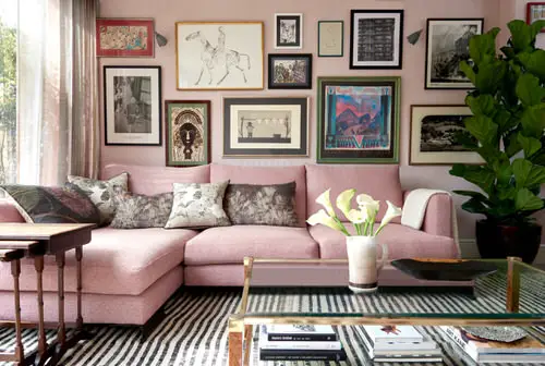 Colorful Indoor Space Ideas with Plants