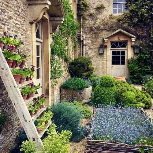 Plants on Ladder patio garden