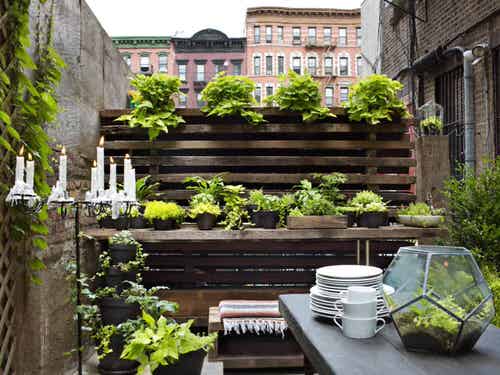 Urban Green Space