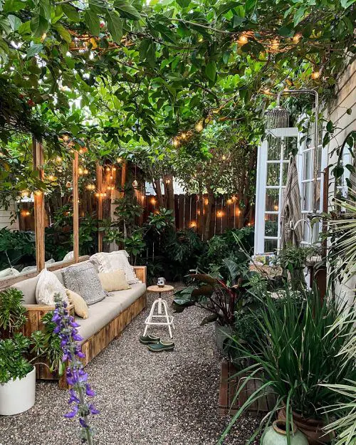 Trailing Lights and Plants