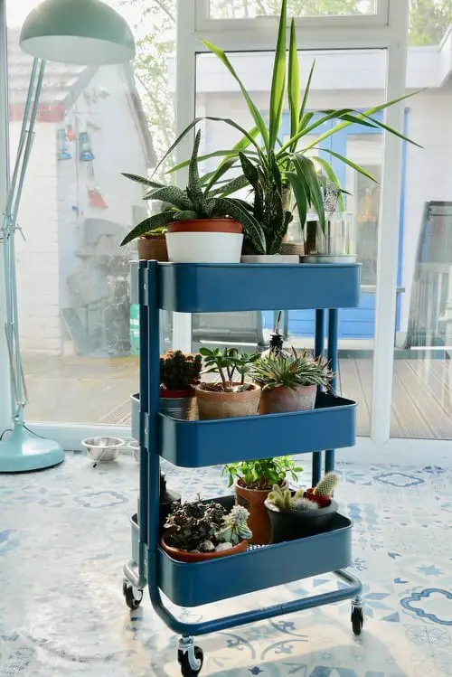 Indoor Plant Ideas Use a Cart or Trolly for Plants