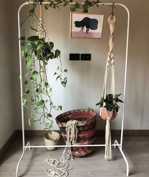 Space Saving IKEA Rack for Pothos!