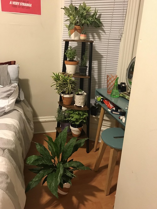 space saving plant stand idea 1