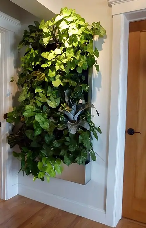 Best Space Saving Indoor Plant Ideas for Smaller Rooms