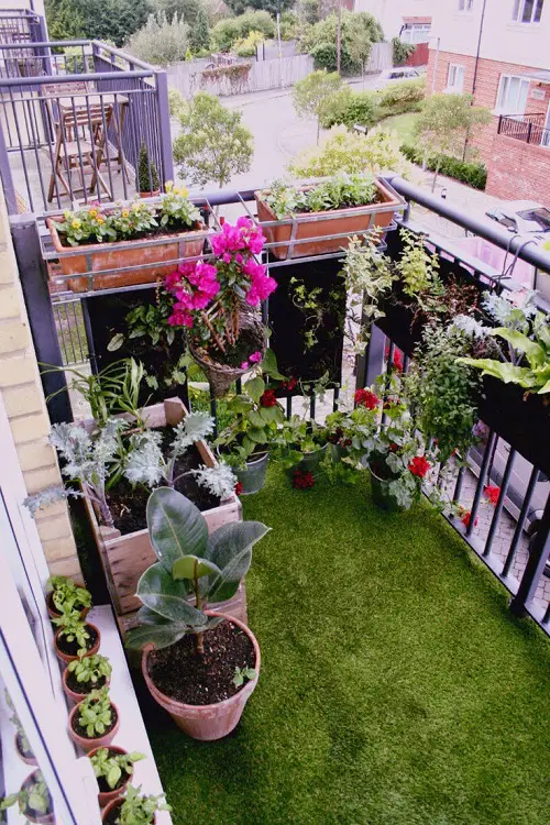 Balcony Gardens that Teach "Grow More in Less Space"