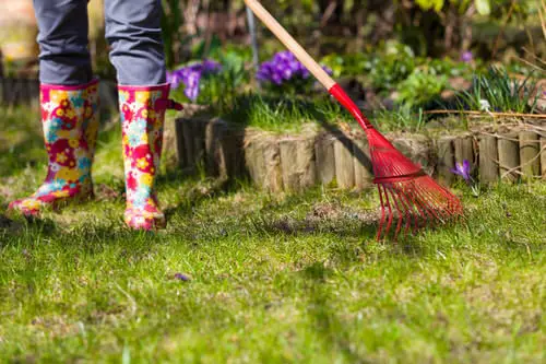 How to Prevent Slugs and Snails in the Garden 1