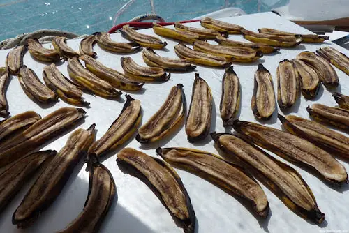Sun Dry Banana Skins & Bury in Soil