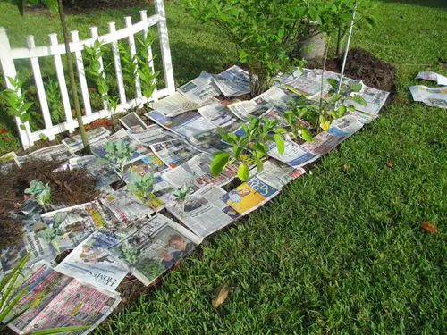 Use it for Mulching