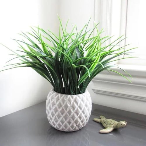 Categories of Almost-Real-Looking Phake Plants