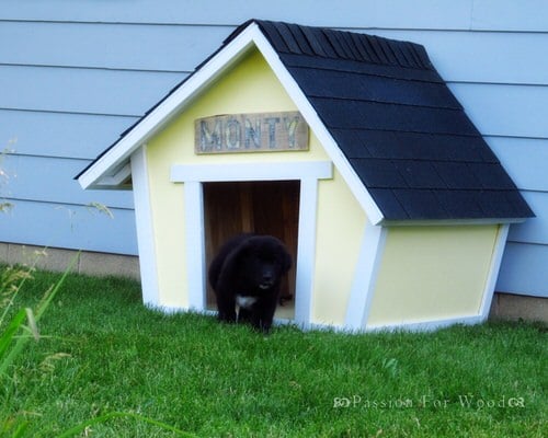 Crooked Dog House